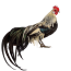 فونیکس