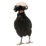 لهستانی