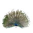 هندی